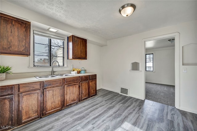 kitchen featuring dark brown cabinets, sink, a textured ceiling, and light hardwood / wood-style floors