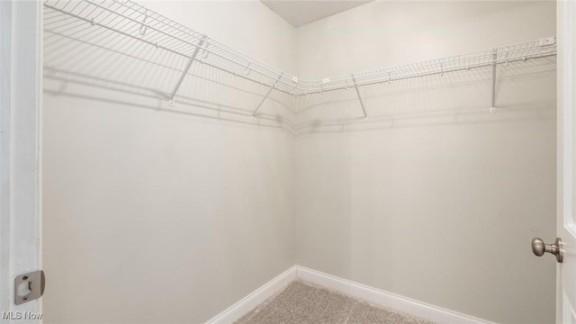 spacious closet with carpet flooring