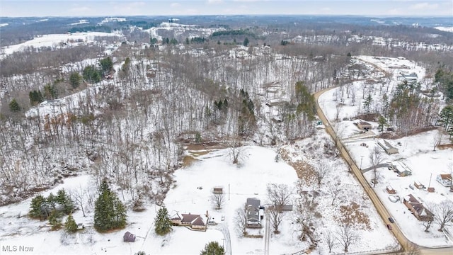 view of snowy aerial view