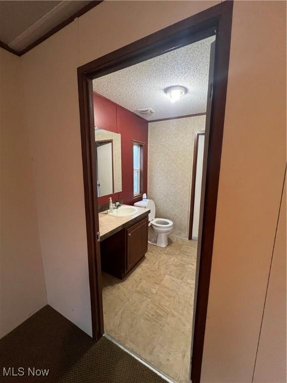 bathroom with vanity, toilet, and a textured ceiling