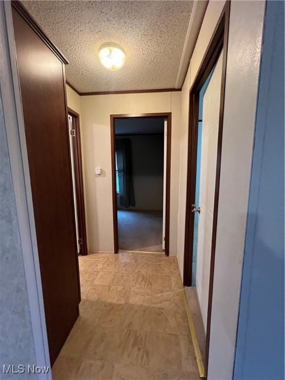 hall featuring crown molding and a textured ceiling