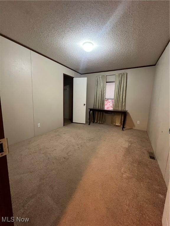 empty room with carpet floors and a textured ceiling