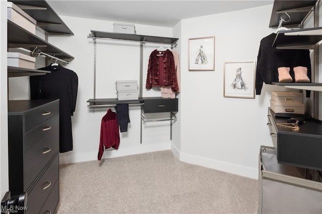 spacious closet featuring light carpet