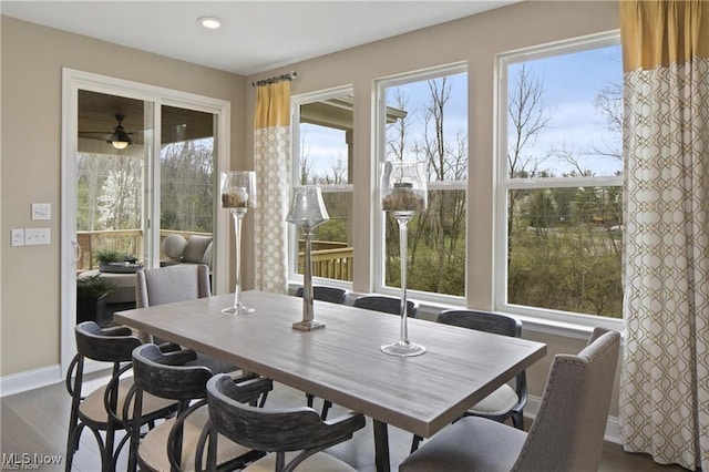 dining area with hardwood / wood-style flooring