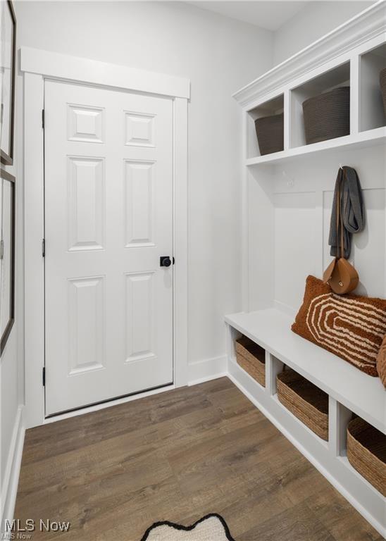 mudroom featuring dark hardwood / wood-style flooring