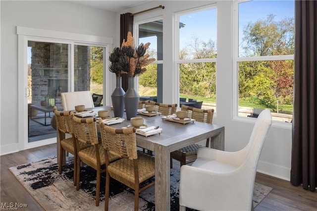 dining area with dark hardwood / wood-style floors