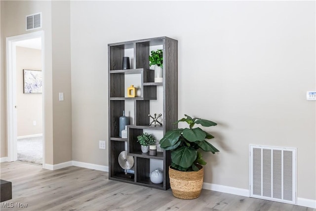 details with hardwood / wood-style floors