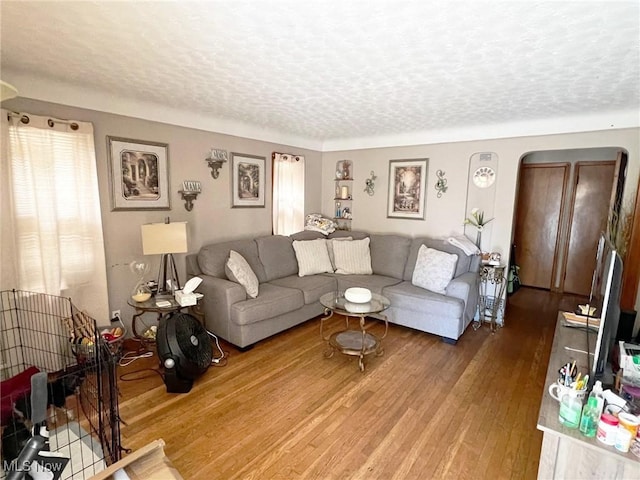 living room with wood-type flooring and a textured ceiling