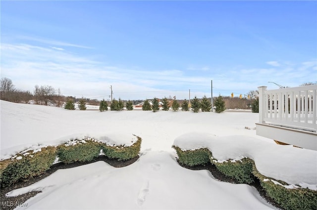 view of yard covered in snow