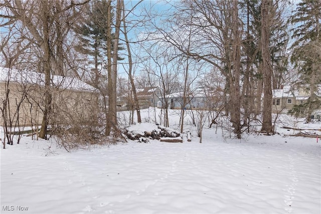 view of snowy yard