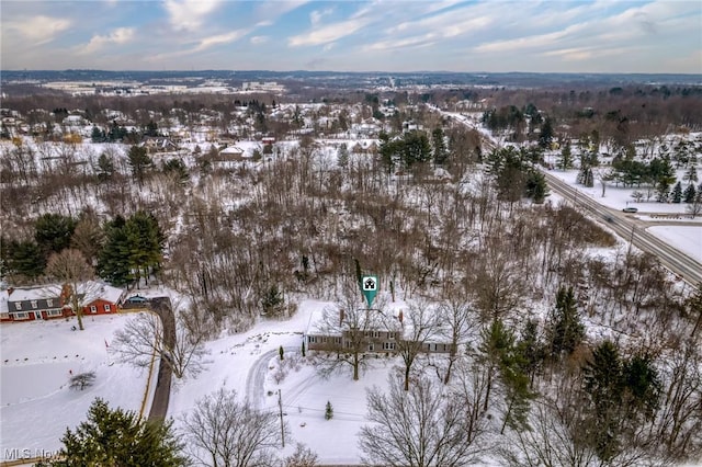 view of snowy aerial view