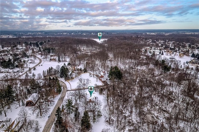 view of snowy aerial view