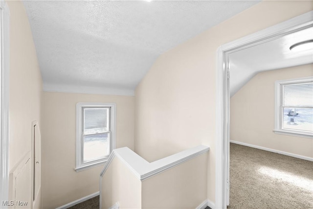 hall featuring lofted ceiling, carpet floors, and a wealth of natural light