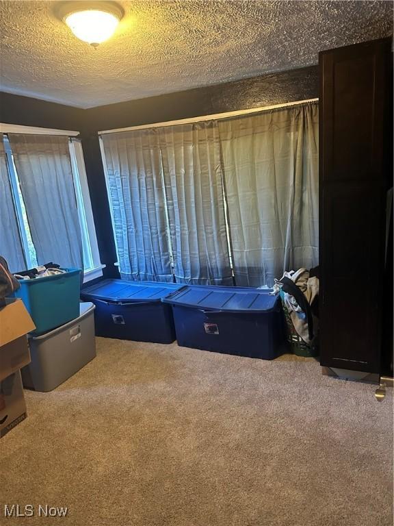 carpeted bedroom featuring a textured ceiling