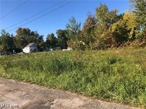 Listing photo 3 for V/L N Ridge Rd E, Lorain OH 44055