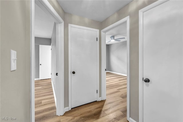 corridor featuring light hardwood / wood-style floors