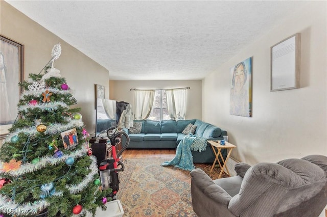 living room featuring hardwood / wood-style flooring and a textured ceiling