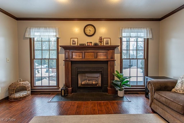 sitting room featuring dark hardwood / wood-style flooring and crown molding