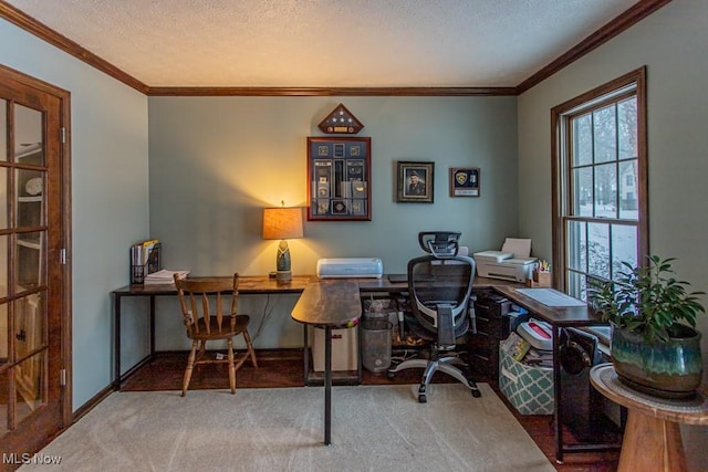 office area with ornamental molding, carpet, and a textured ceiling