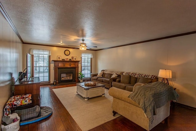 living room with crown molding, dark hardwood / wood-style floors, and a healthy amount of sunlight