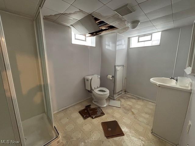 bathroom featuring vanity, toilet, and walk in shower