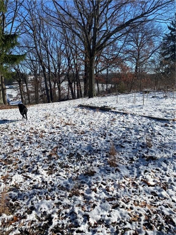 view of snowy yard