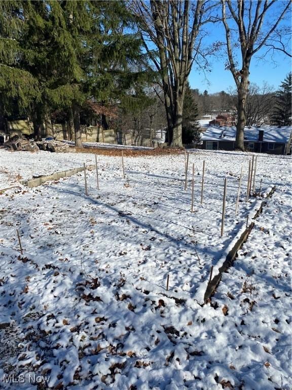 view of snowy yard