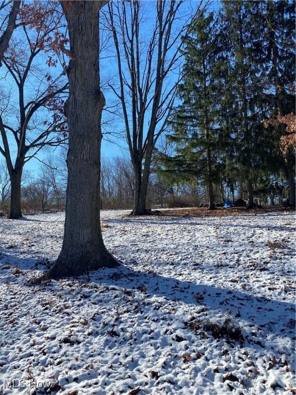 view of yard covered in snow