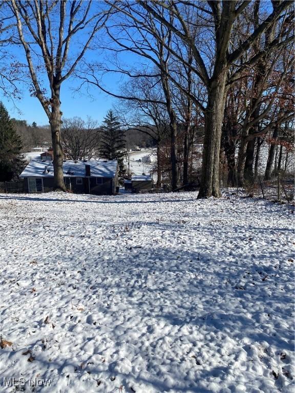 view of yard layered in snow