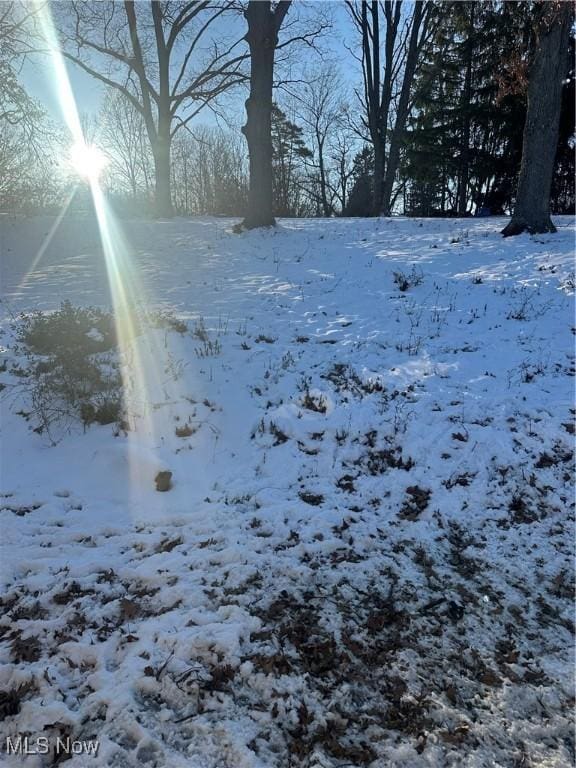 view of yard covered in snow