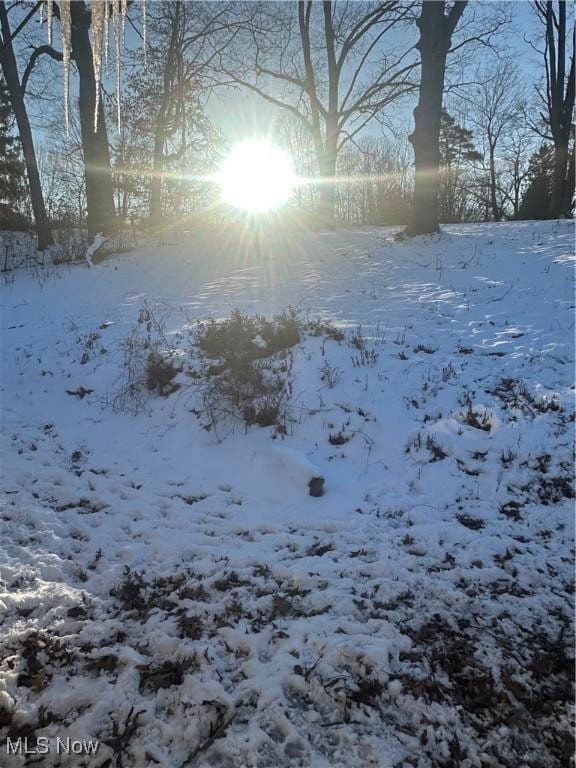 view of yard covered in snow