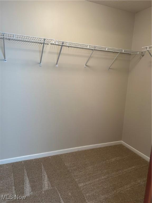 spacious closet with carpet