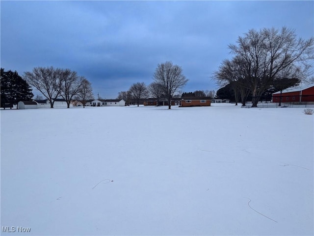 view of yard layered in snow