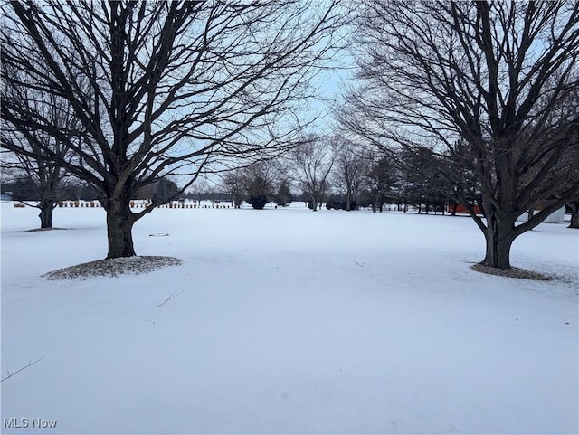 view of snowy yard