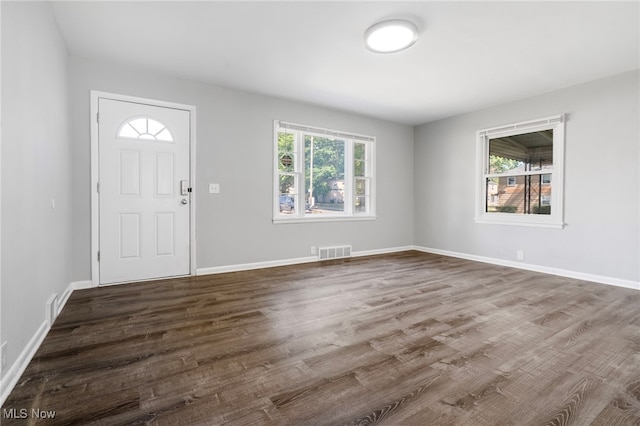 entryway with wood-type flooring