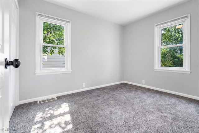 carpeted empty room with plenty of natural light