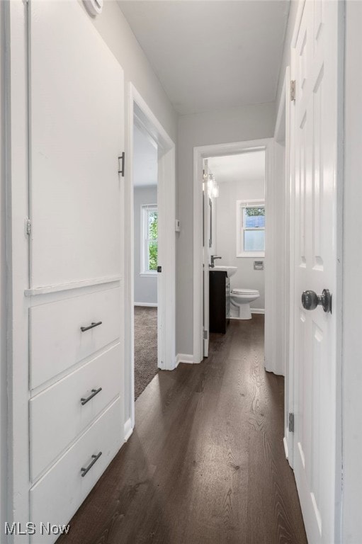 hall featuring plenty of natural light and dark hardwood / wood-style floors