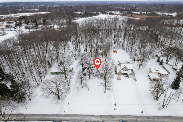 view of snowy aerial view