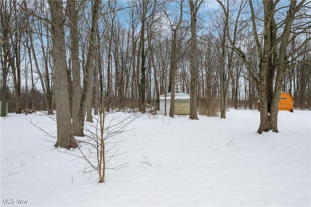 view of snowy yard