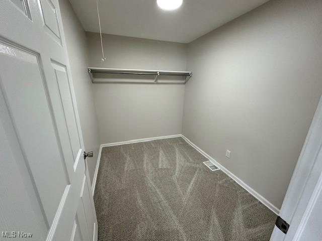 spacious closet with attic access and carpet flooring