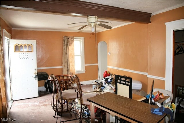 dining space featuring ornamental molding and ceiling fan