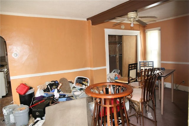 dining area featuring crown molding and ceiling fan