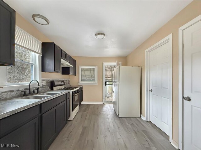 kitchen featuring sink, white appliances, and light hardwood / wood-style flooring