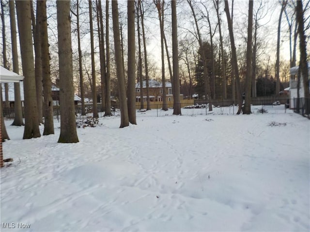 view of snowy yard