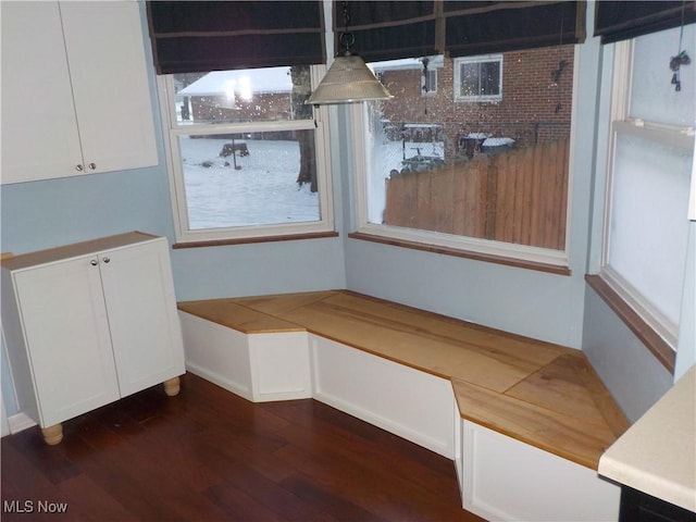 unfurnished dining area with dark wood-type flooring