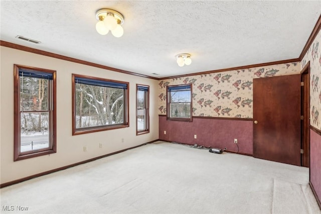 carpeted spare room with a textured ceiling, ornamental molding, and a healthy amount of sunlight