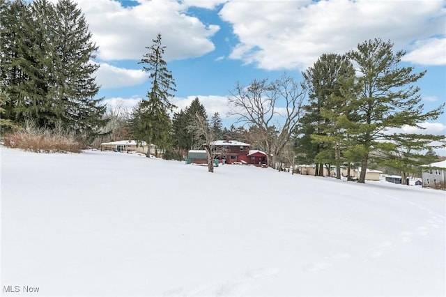 view of yard covered in snow