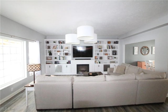 living room with a fireplace and wood finished floors