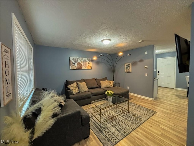 living room featuring light hardwood / wood-style floors and a textured ceiling