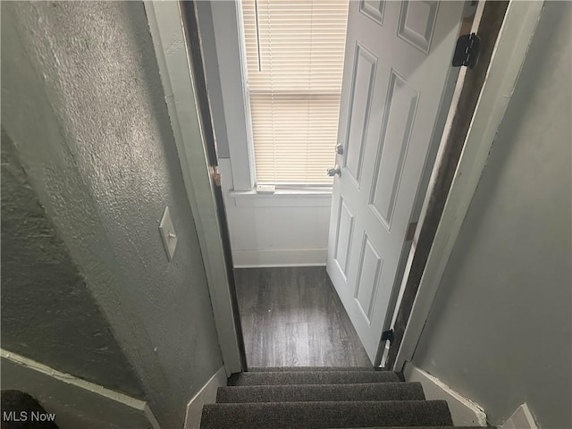 staircase featuring wood-type flooring